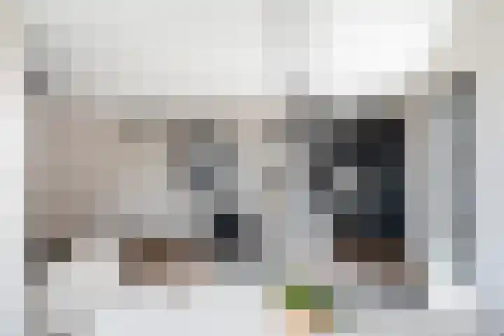 Kerkweg-Oost 206 Waddinxveen thumbnail 16