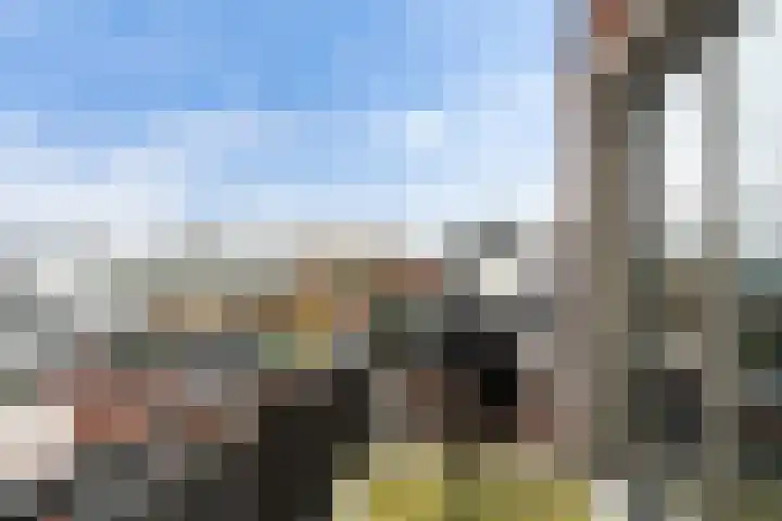 Kerkweg-Oost 206 Waddinxveen thumbnail 32