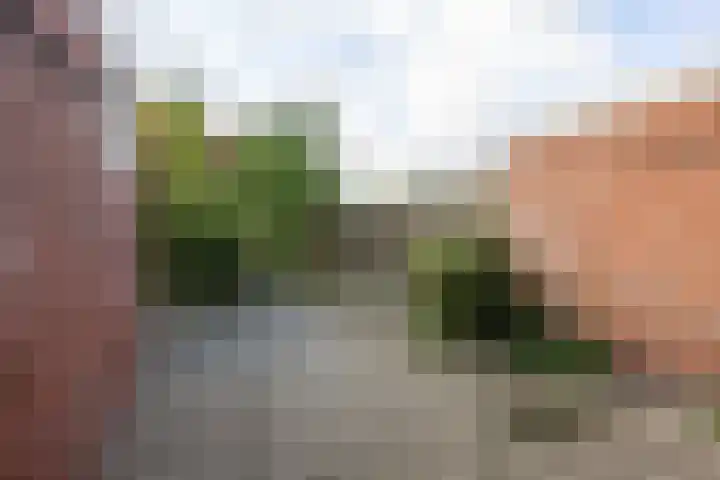 Kerkweide 41 Kornhorn thumbnail 28