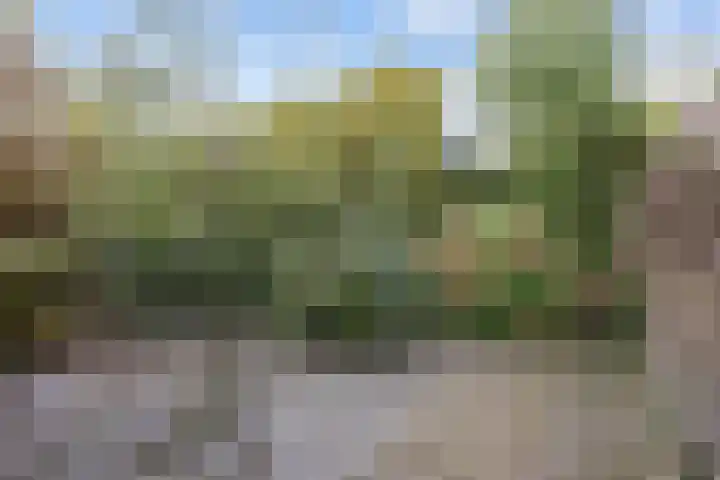 Kerkweide 41 Kornhorn thumbnail 30