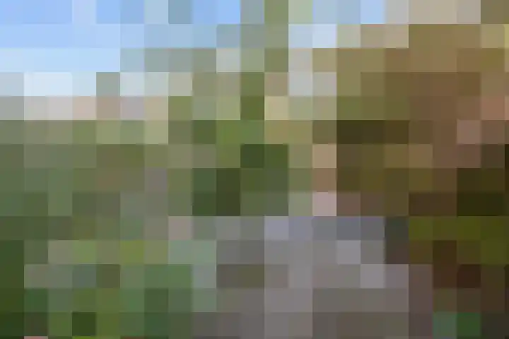 Kerkweide 41 Kornhorn thumbnail 32