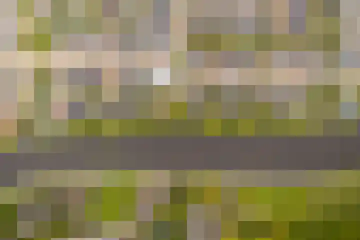Kerkweide 5 Leidschendam thumbnail 30