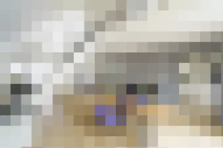 Kerkweide 5 Leidschendam thumbnail 9