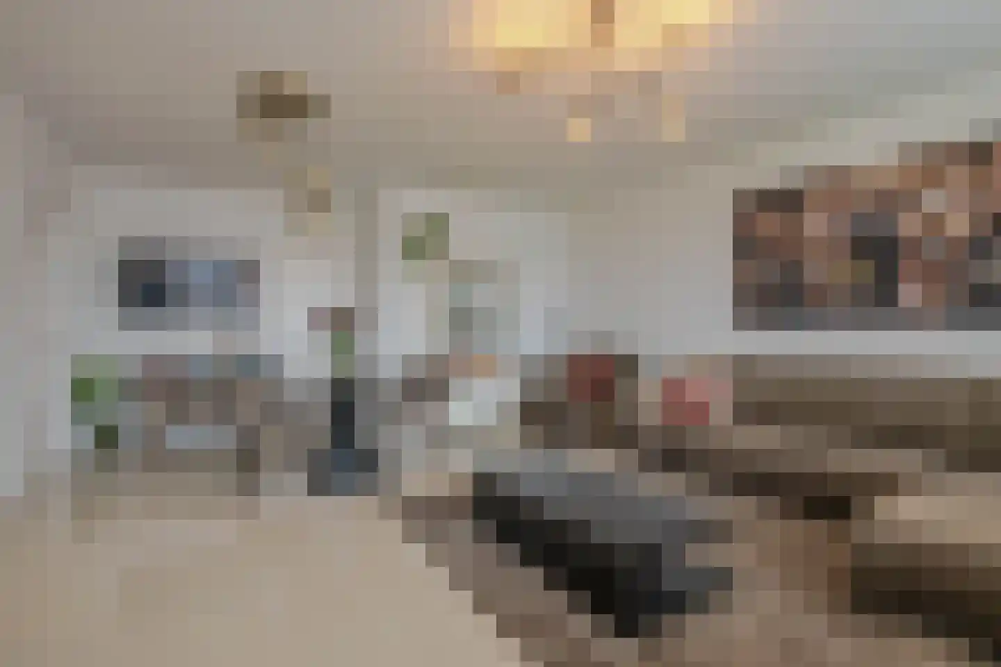Kerkwervesingel 149 Rotterdam thumbnail 11