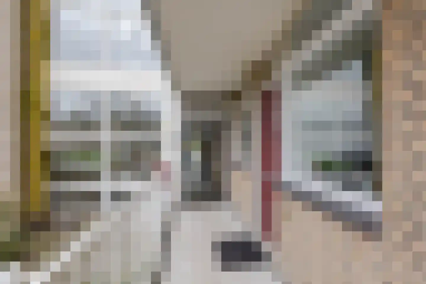 Kerkwervesingel 149 Rotterdam thumbnail 25