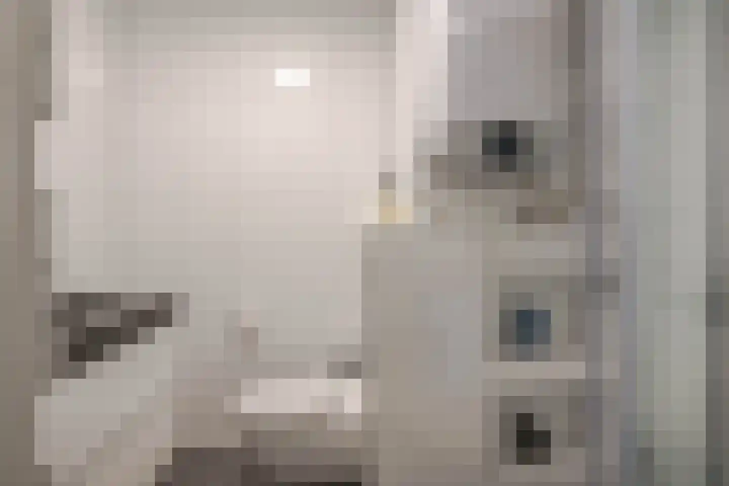 Kerkwervesingel 149 Rotterdam thumbnail 4