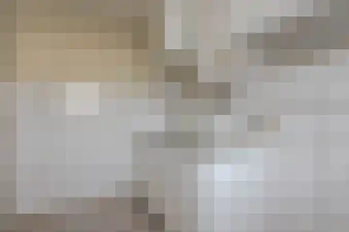 Kerkwervesingel 261 Rotterdam thumbnail 23