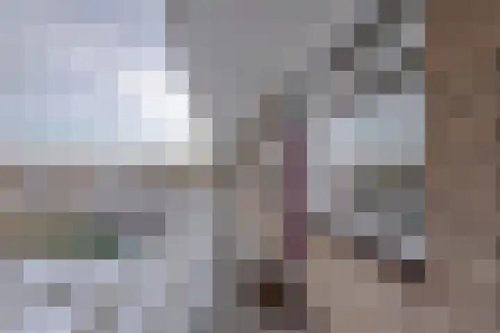 Kerkwervesingel 261 Rotterdam thumbnail 24