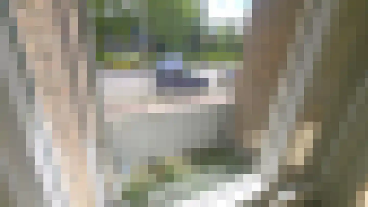 Kerkwervesingel 69 Rotterdam thumbnail 11
