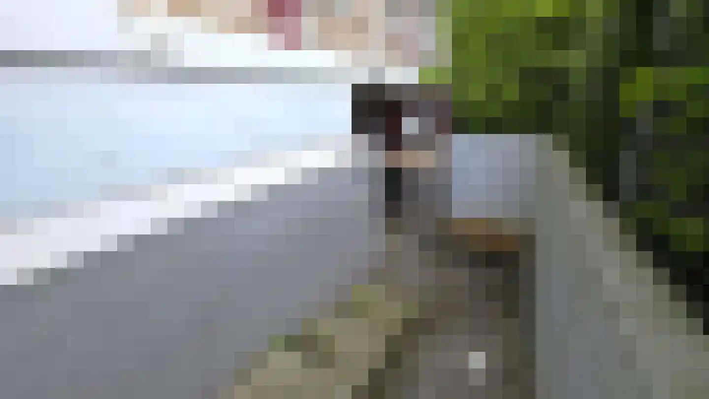 Kerkwervesingel 69 Rotterdam thumbnail 19