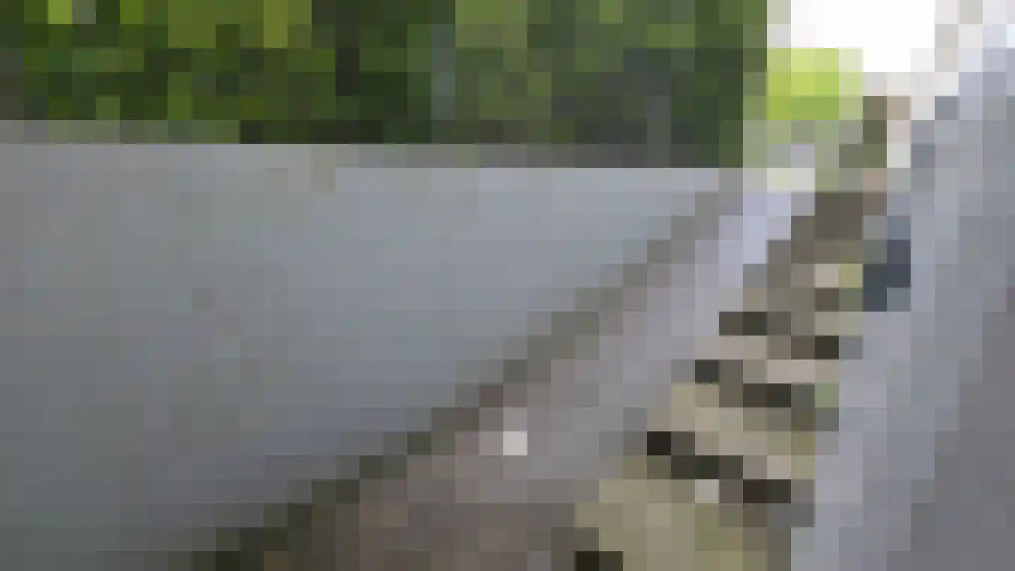 Kerkwervesingel 69 Rotterdam thumbnail 20