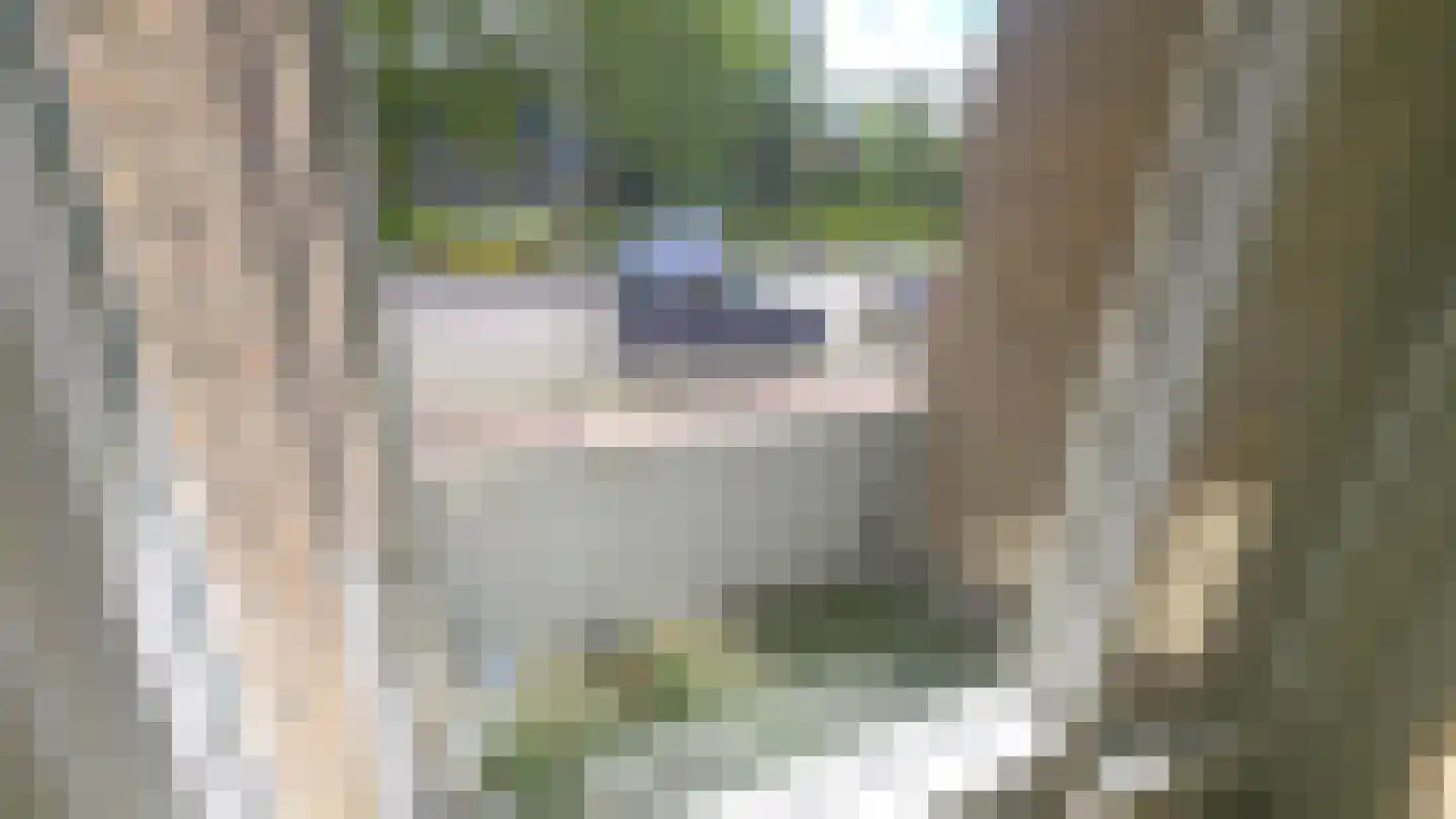 Kerkwervesingel 69 Rotterdam thumbnail 8