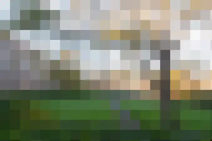 Kerkwervesingel 93 Rotterdam thumbnail 5