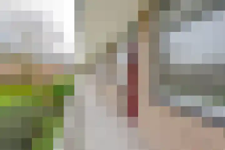 Kerkwervesingel 93 Rotterdam thumbnail 6