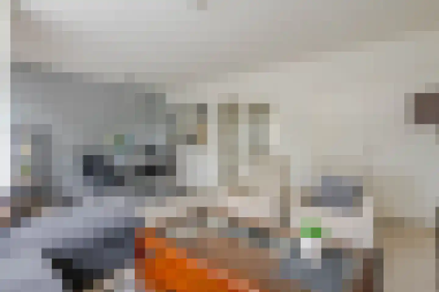 Kerkwervesingel 95 Rotterdam thumbnail 12