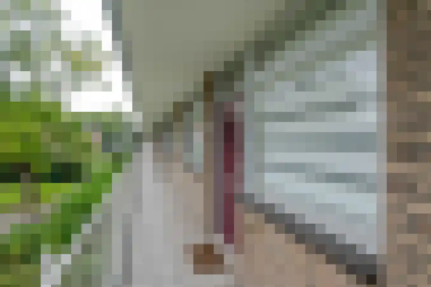 Kerkwervesingel 95 Rotterdam thumbnail 21