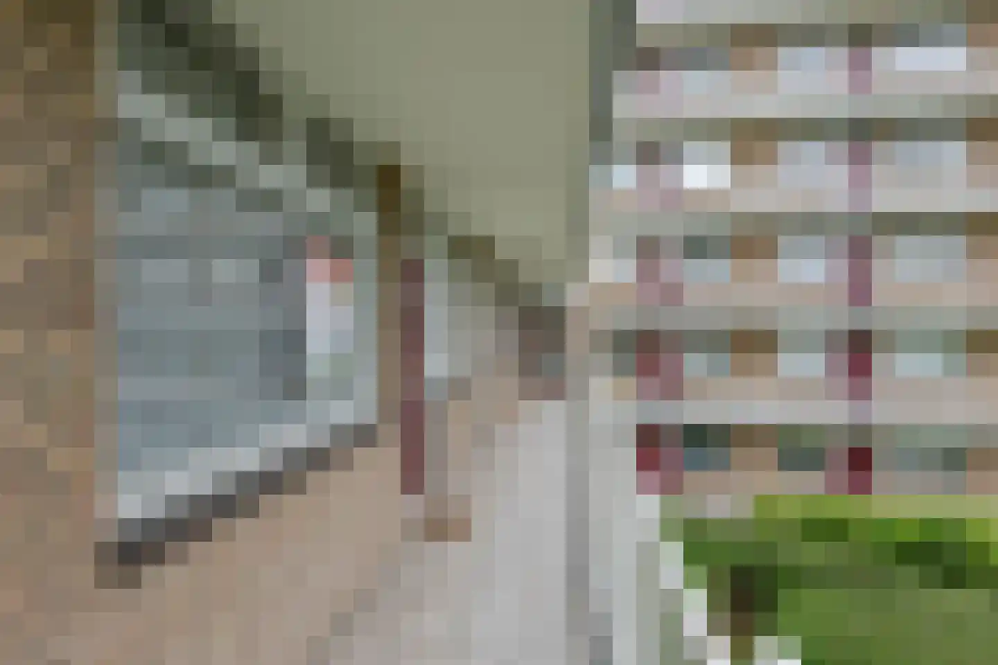 Kerkwervesingel 95 Rotterdam thumbnail 8