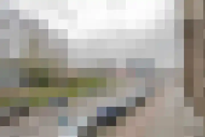 Kerkwervesingel 99 Rotterdam thumbnail 19