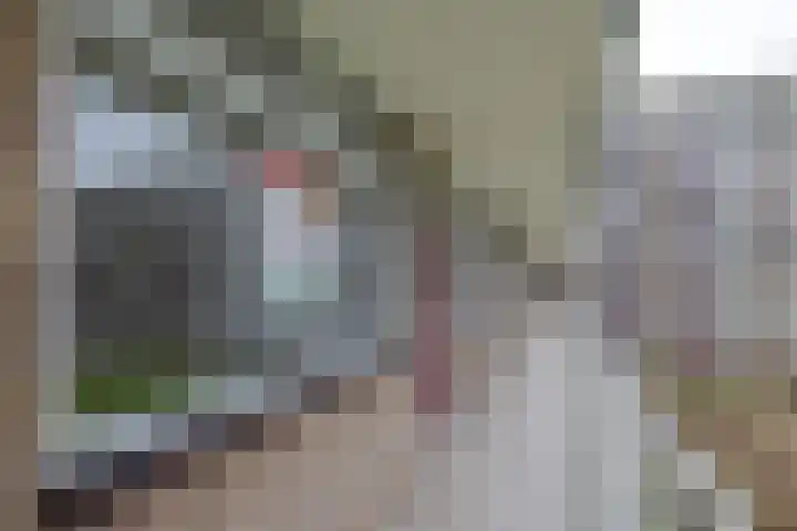 Kerkwervesingel 99 Rotterdam thumbnail 22