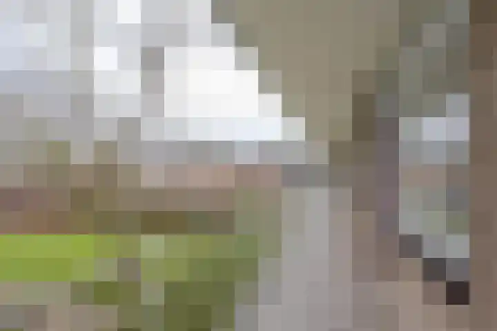 Kerkwervesingel 99 Rotterdam thumbnail 8