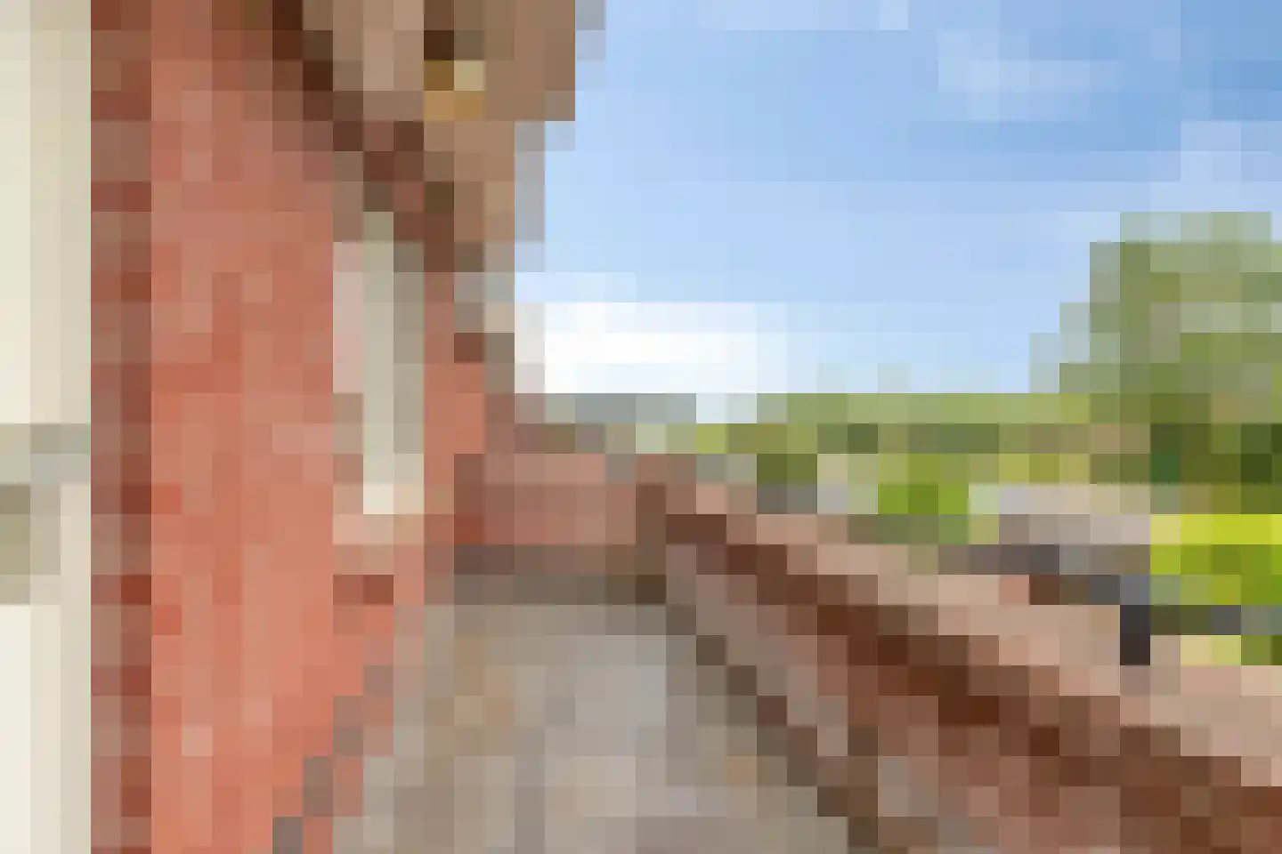 Kerkwetering 21 Oudewater thumbnail 33