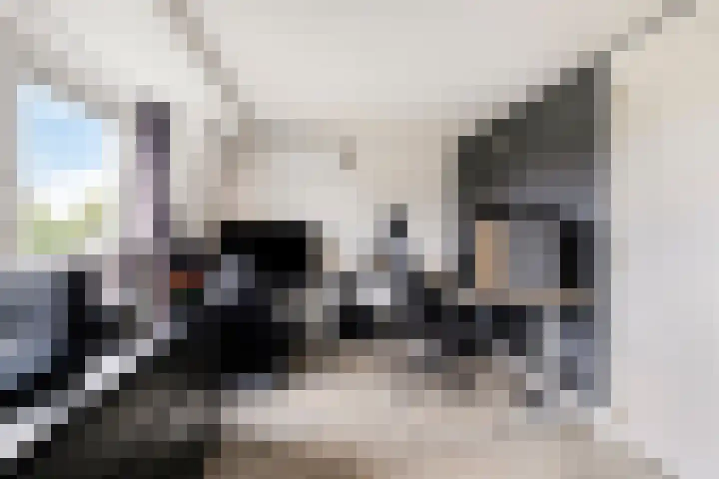 Kerkwetering 21 Oudewater thumbnail 36