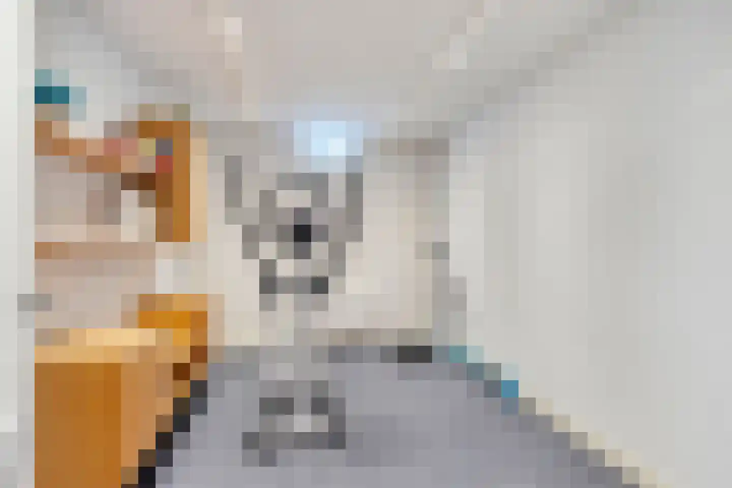 Kerkwetering 21 Oudewater thumbnail 47