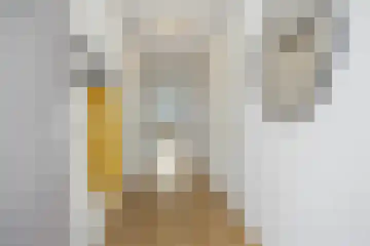 Kerkwijk 1 M Berlicum thumbnail 11