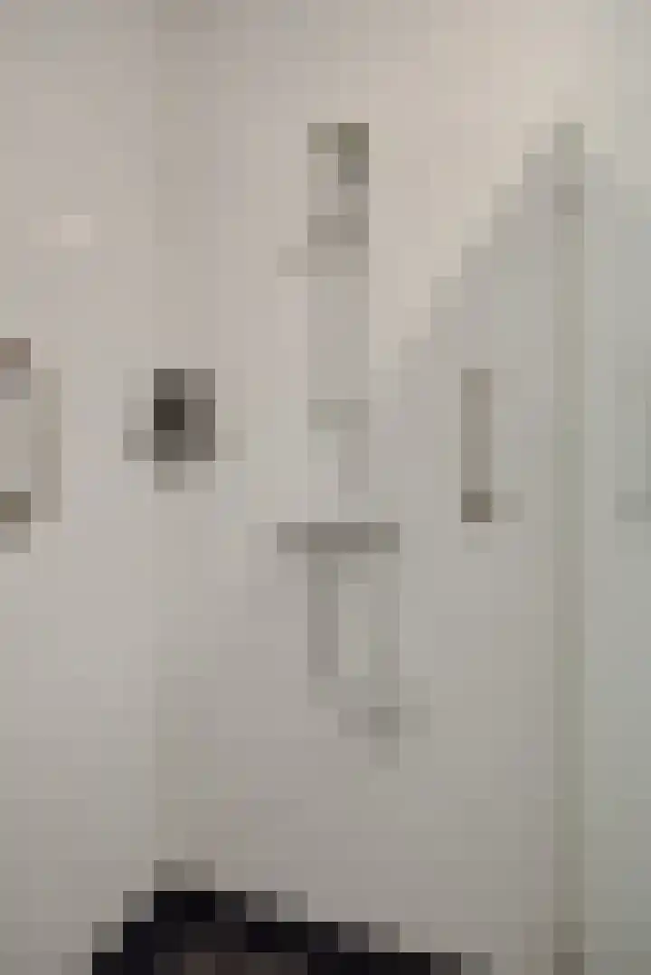 Kerkwijk 1 M Berlicum thumbnail 27