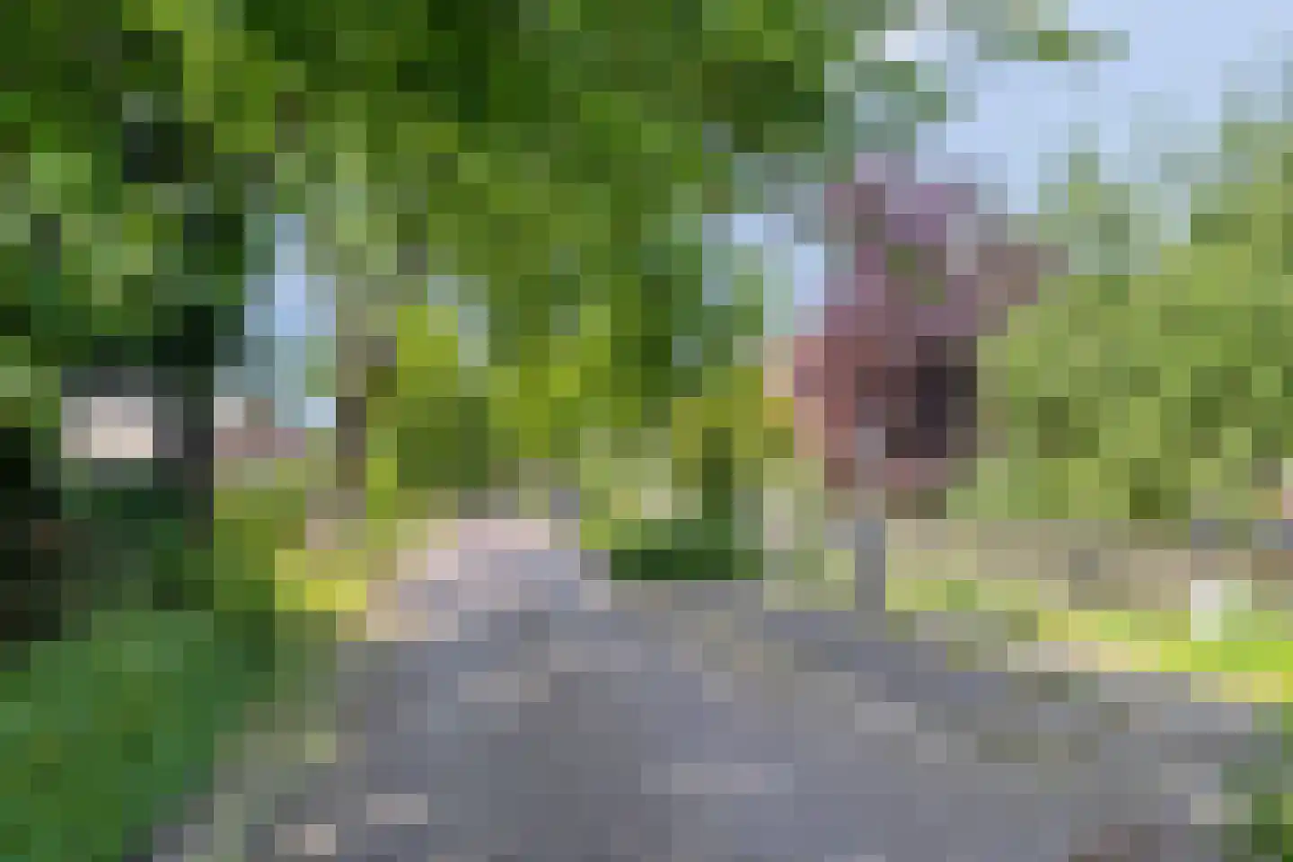 Kerkwijk 14 Nieuw Scheemda thumbnail 37