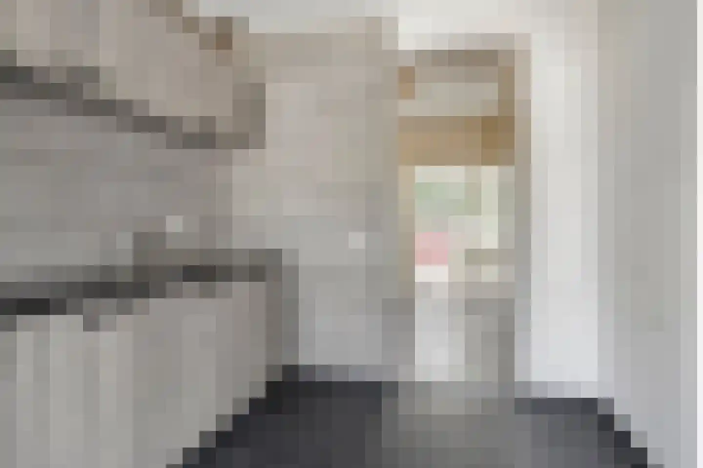 Kerkwijk 14 Nieuw Scheemda thumbnail 9
