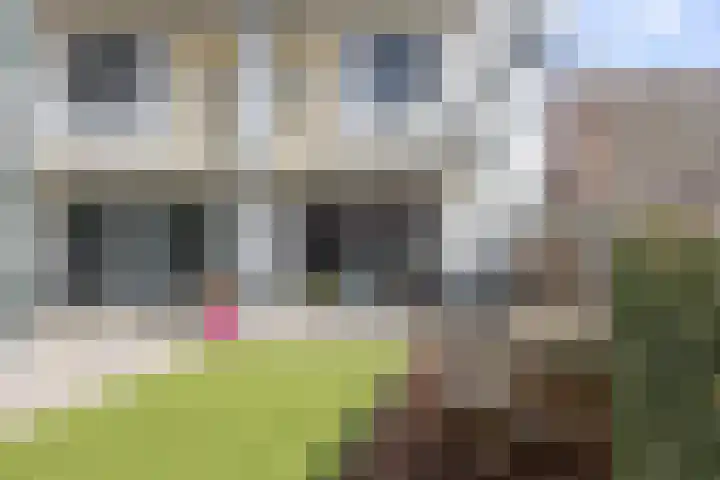 Kerkwijk 48 Berlicum thumbnail 18