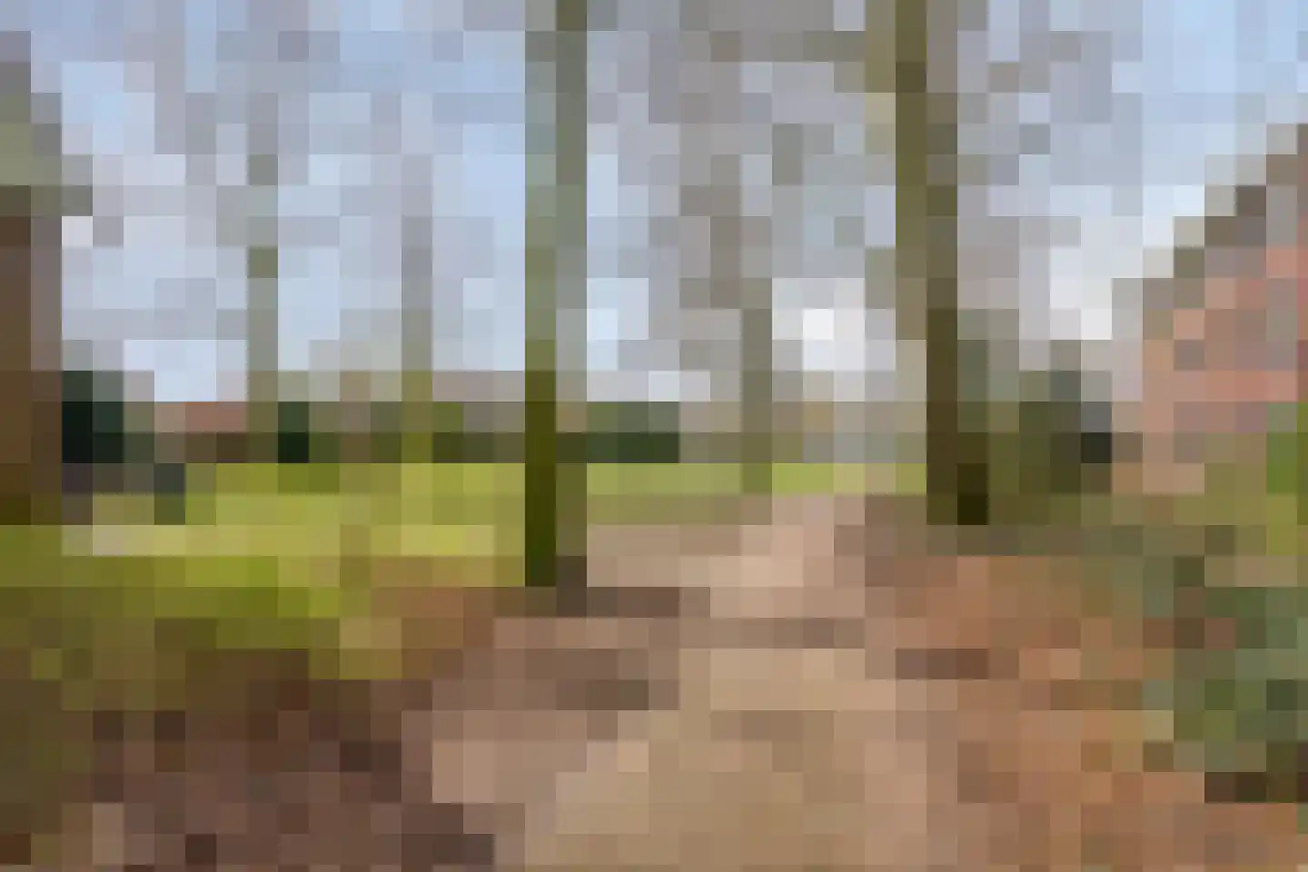 Kerkwijk 48 Berlicum thumbnail 31