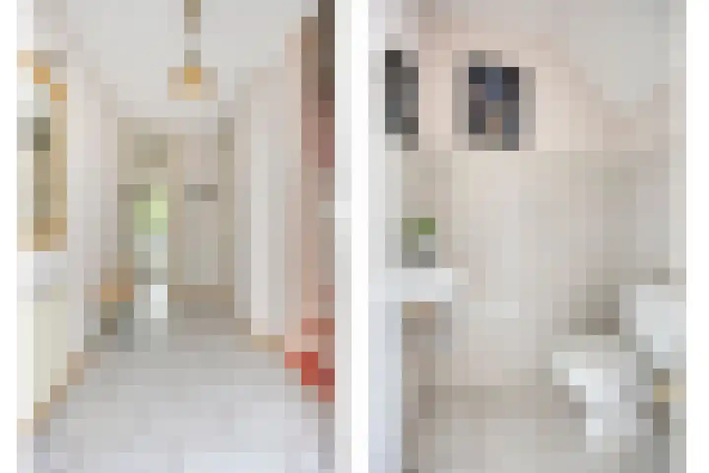 Kerkwijk 5 A Berlicum thumbnail 8