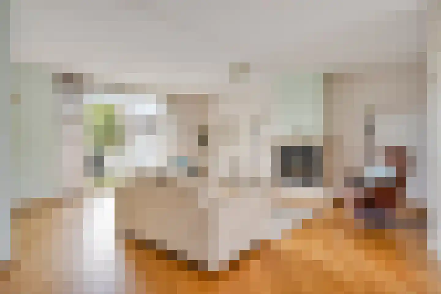 Kerkwijk 5 A Berlicum thumbnail 9