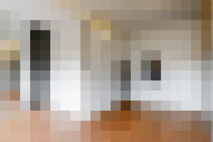 Kerkzicht 14 Voorhout thumbnail 26