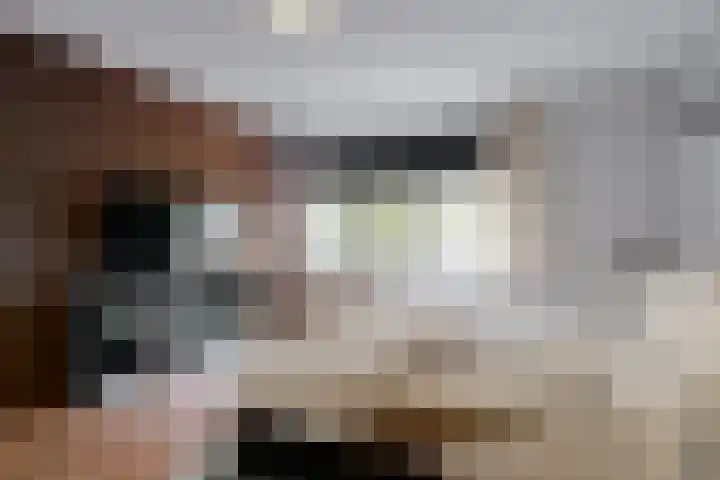 Kerkzicht 14 Voorhout thumbnail 27
