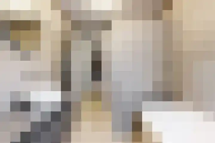 Kerkzicht 14 Voorhout thumbnail 29