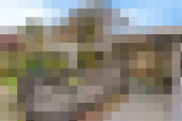 Kerkzicht 14 Voorhout thumbnail 39