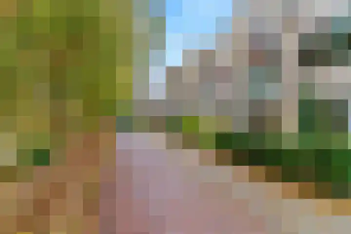 Kerkzicht 14 Voorhout thumbnail 6