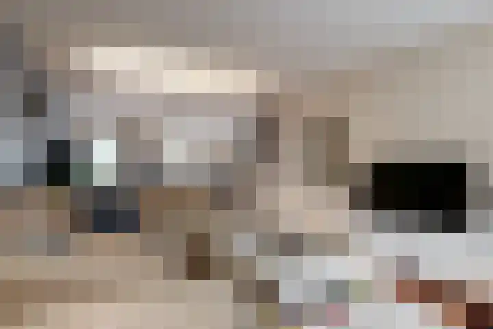 Kerkzicht 14 Voorhout thumbnail 9