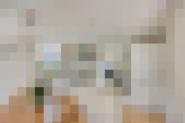 Kerkzicht 3 Heerhugowaard thumbnail 17