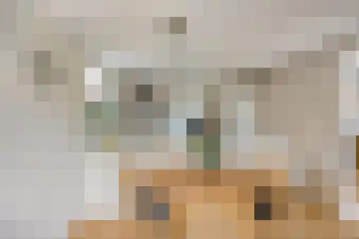 Kerkzicht 3 Heerhugowaard thumbnail 21