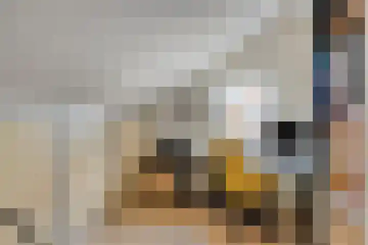 Kerkzicht 3 Heerhugowaard thumbnail 33