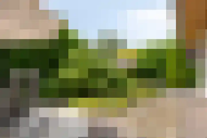 Kerkzicht 3 Heerhugowaard thumbnail 39