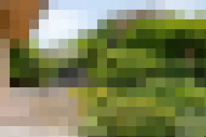 Kerkzicht 3 Heerhugowaard thumbnail 4