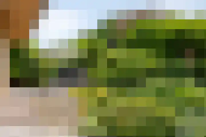 Kerkzicht 3 Heerhugowaard thumbnail 40