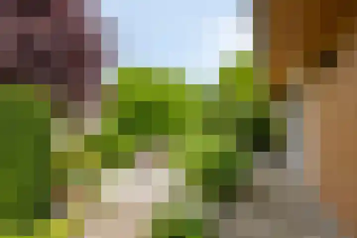 Kerkzicht 3 Heerhugowaard thumbnail 41