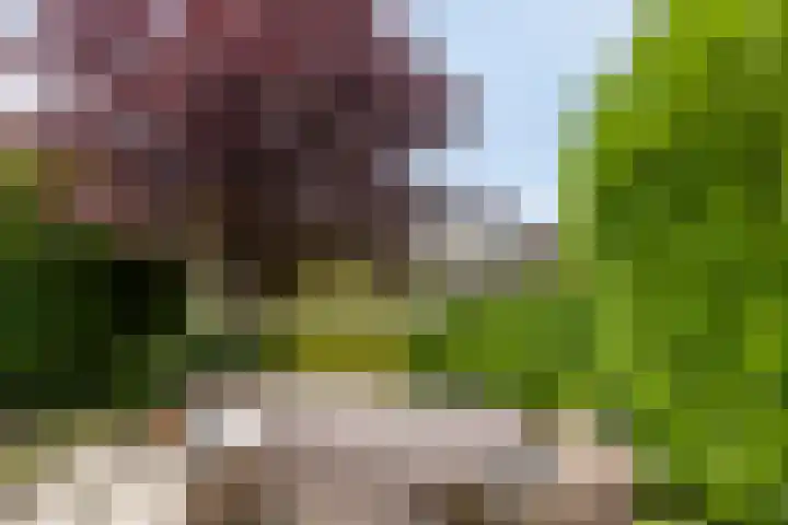 Kerkzicht 3 Heerhugowaard thumbnail 42