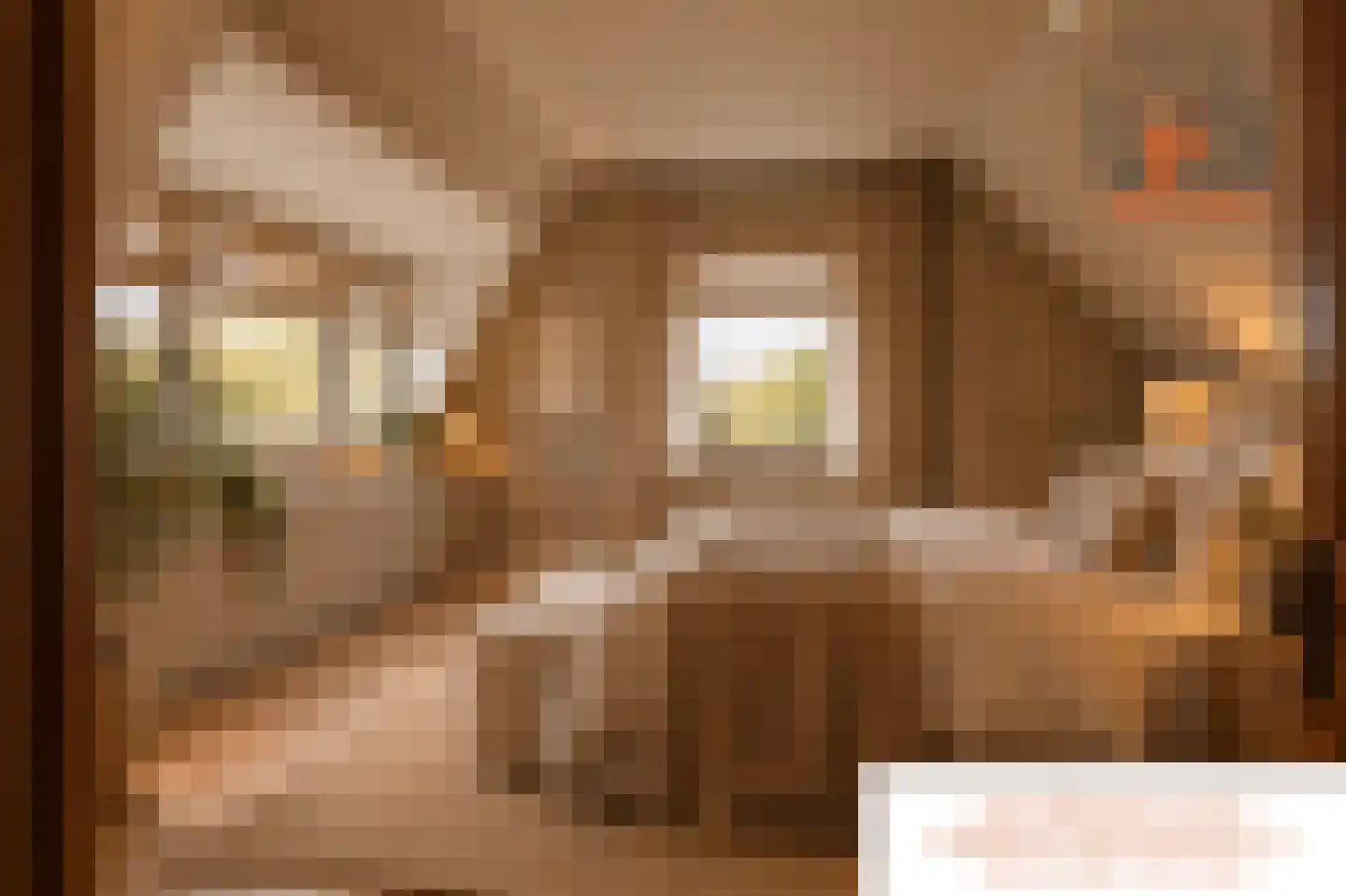Kerlinge 9 Sprundel thumbnail 42